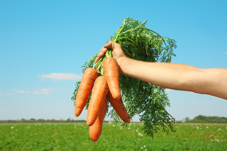 10 полезных продуктов, которые очистят организм естественным образом