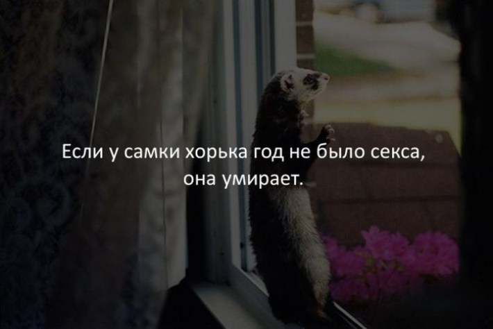 20 Случайных И Жутко Интересных Фактов Обо Всем На Свете