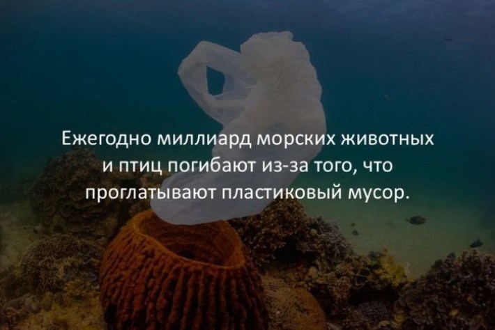 20 Случайных И Жутко Интересных Фактов Обо Всем На Свете
