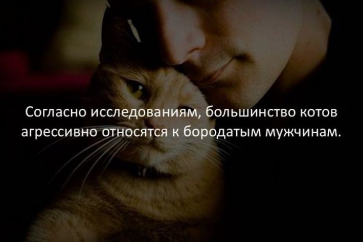 20 Случайных И Жутко Интересных Фактов Обо Всем На Свете