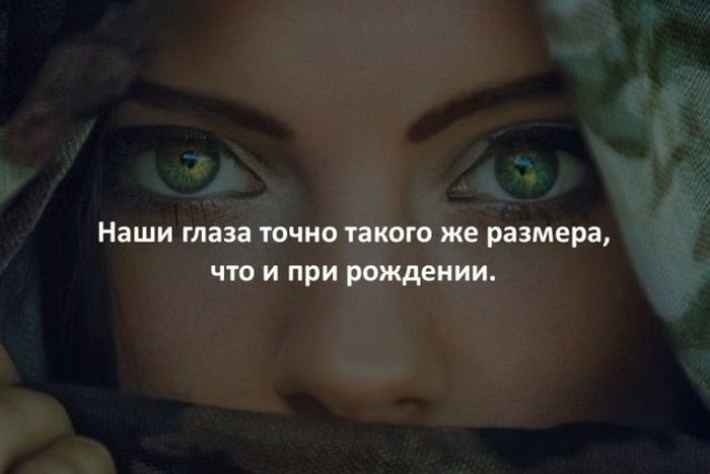20 Случайных И Жутко Интересных Фактов Обо Всем На Свете