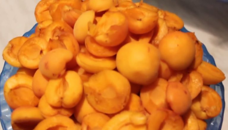 Варенье из абрикосов на зиму: 5 рецептов без косточек и дольками