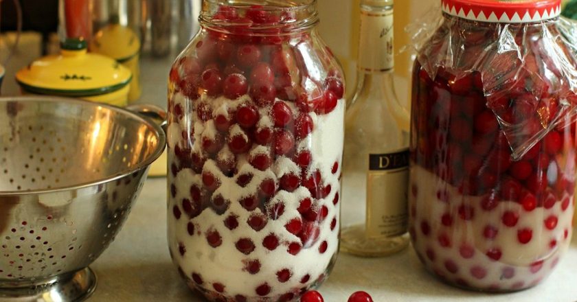 Созрела вишня! Отбираю самую сочную, самую вкусную — и в банку. Получается чистейшая амброзия. Нестареющий рецепт для каждого ягодного сезона!