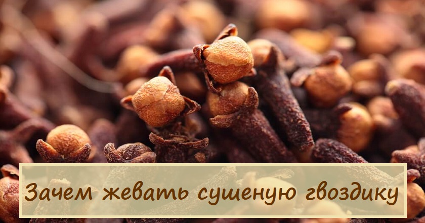 Польза сушеной гвоздики