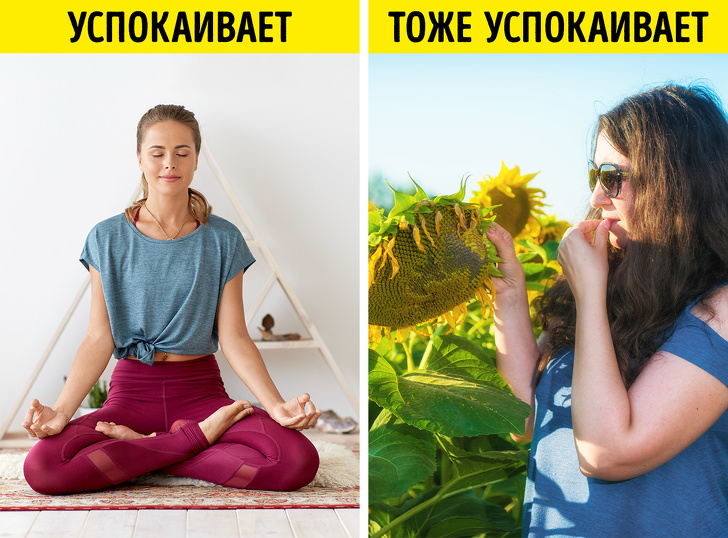 Что происходит с организмом, когда вы часто едите семечки (И правда ли, что они провоцируют аппендицит)