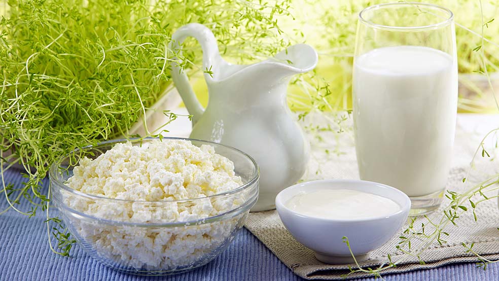 Топ-20 продуктов, сжигающих жиры и регулирующих обмен веществ