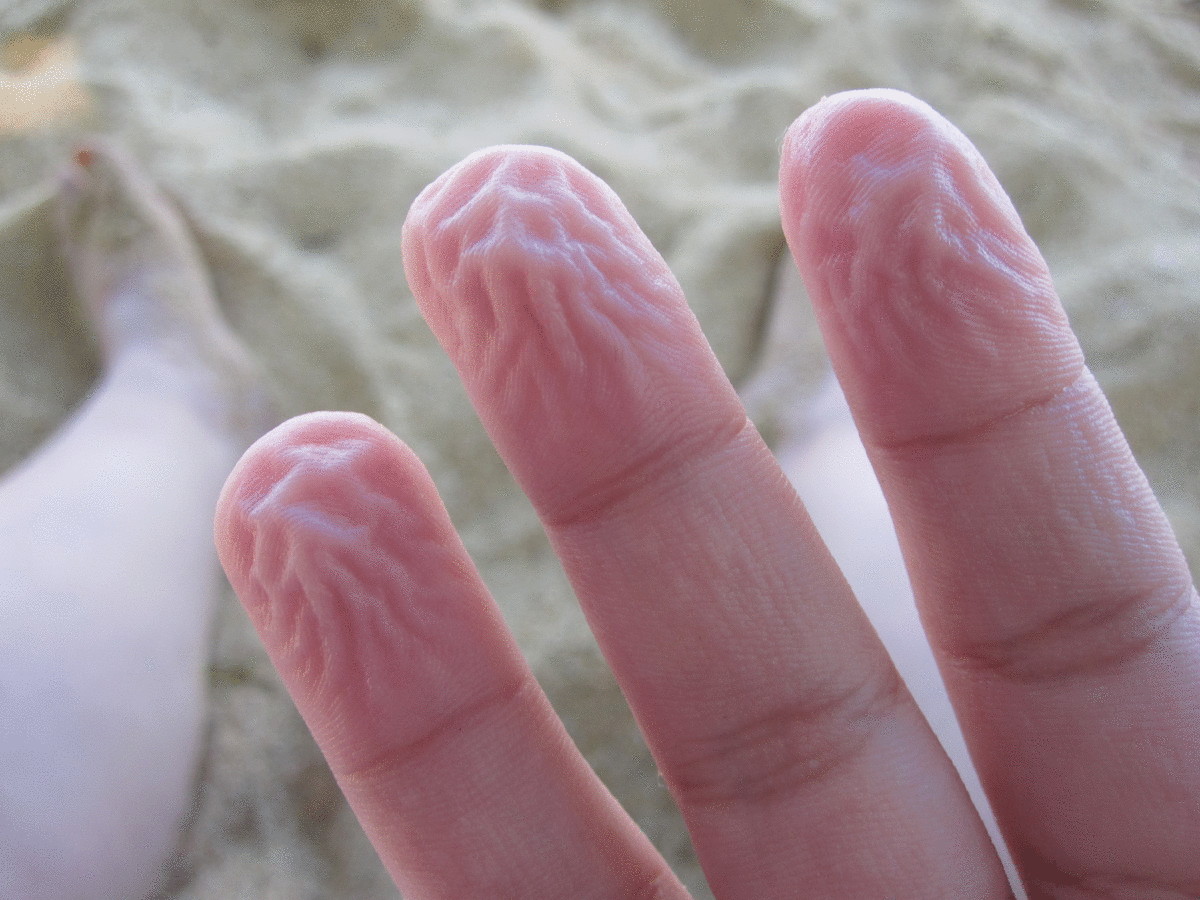 Почему от воды на пальцах образуются морщинки