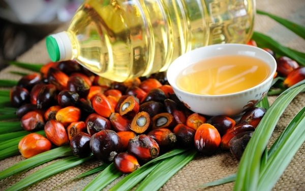 Мифы и правда про пальмовое масло