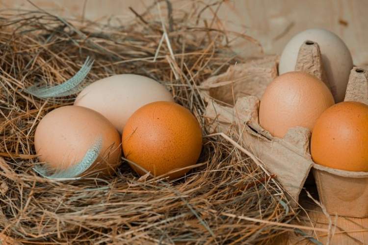 13 вещей, которые происходят с вашим телом, когда вы едите яйца.
